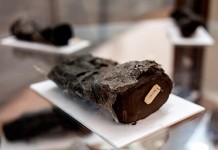 Ученые смогут прочесть обгоревшие при извержении Везувия свитки