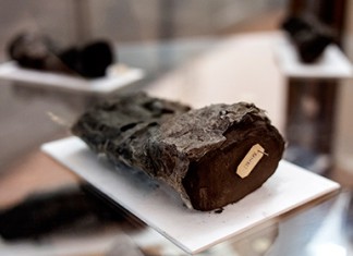 Ученые смогут прочесть обгоревшие при извержении Везувия свитки