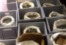 В Испании рабочие нашли 600 килограммов бронзовых римских монет В Испании рабочие нашли 600 кг бронзовых монет