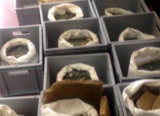 В Испании рабочие нашли 600 килограммов бронзовых римских монет В Испании рабочие нашли 600 кг бронзовых монет