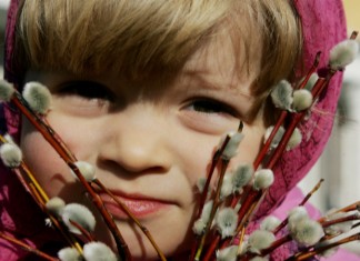 Вербное воскресенье Вербное воскресенье