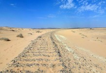 Пуля подтвердила реальность подвига Лоуренса Аравийского Здесь 19 сентября 1917 года произошел налет на поезд