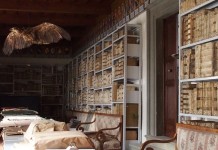 Итальянская семья вела дневники на протяжении 600 лет архив семьи Корсини