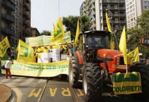 Фермеры Италии вышли на акцию протеста против антироссийских санкций итальянские фермеры против продления антироссийских санкций