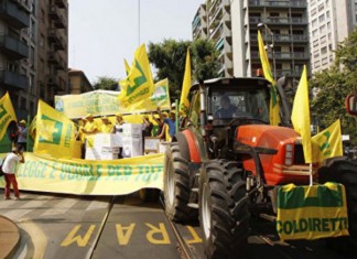 Фермеры Италии вышли на акцию протеста против антироссийских санкций итальянские фермеры против продления антироссийских санкций
