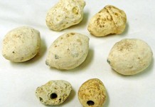 Обнаружен новый тип древнеримского оружия устрашения овый тип древнеримского оружия устрашения