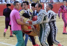 В Испании на корриде бык убил матадора В Испании на корриде бык убил матадора