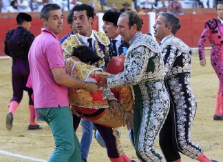 В Испании на корриде бык убил матадора В Испании на корриде бык убил матадора