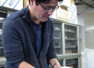 Приключения итальянца в Японии Приключения итальянца в Японии