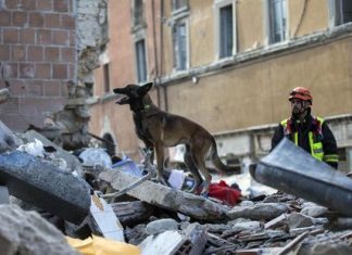 Землетрясение в Италии: десятки погибших и вероятность новых толчков землетрясение