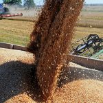 Россия увеличила поставки продовольствия за рубеж урожай зерновых