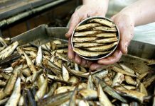 Дуэль на шпротах шпроты