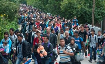 Amnesty International: Более половины беженцев приняли бедные страны беженцы