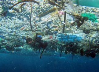 В океане к 2050 году будет больше пластика, чем рыбы мусор в океане