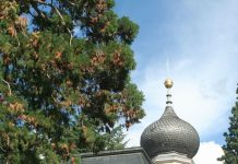 В Италии стартовал культурный фестиваль «Русские дни в Мерано» Мерано