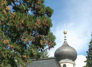 В Италии стартовал культурный фестиваль «Русские дни в Мерано» Мерано