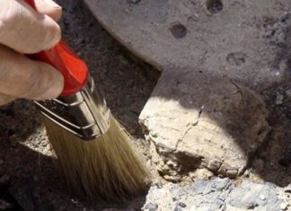 В Турции нашли антидепрессанты, которым более тысячи лет археологи