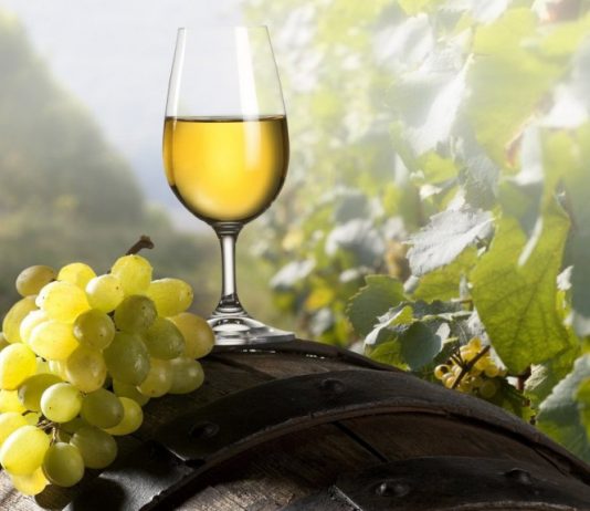 Непогода ударила по виноделию в Европе, однако Италия по-прежнему лидер виноделие