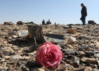 La catastrofe nei cieli del Sinai, un anno dopo катастрофа