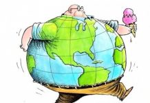 Евростат: Более половины жителей Европы страдают ожирением проблема с ожирением