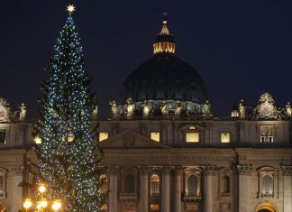 Главная рождественская ель приедет в Ватикан из Тренто albero-san-pietro-vaticano-natale