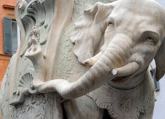 Неизвестные повредили один из главных символов Рима слон