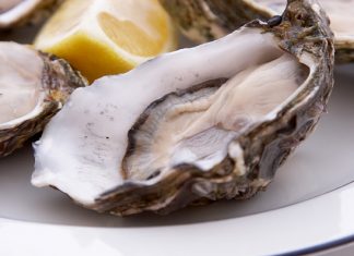 Крымские устрицы покоряют Россию устрицы