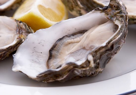 Крымские устрицы покоряют Россию устрицы