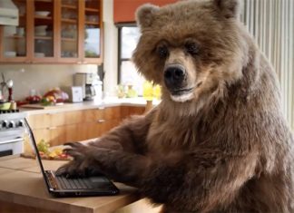 Типичный русский: как российские хакеры докатились до мирового господства хакеры