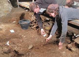 Ученые раскрыли подробности древнейших ритуалов первых европейцев археология