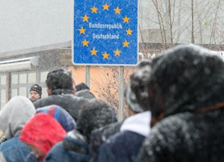 Глава МИД Австрии предложил отправить беженцев из ЕС в Грузию мигранты