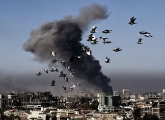 США признали гибель 229 гражданских от ударов коалиции в Сирии и Ираке