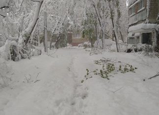 Снежный циклон уничтожил сельхозкультуры Молдавии снегопад молдова