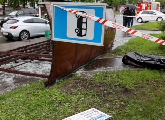 Жертвами урагана в Москве стали одиннадцать человек