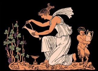 В Италии обнаружили винный погреб возрастом в 1800 лет