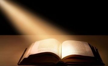 Британский словарь Collins назвал слово 2022 года