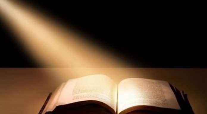 Назван самый читающий город России