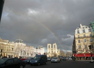 «Избежали худшего»: как восстанавливают собор Парижской Богоматери