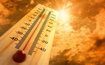 Ученые спрогнозировали рекордную жару в 2024 году