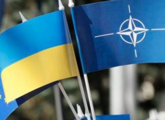 Repubblica: НАТО установила «красные линии» для вмешательства на Украине