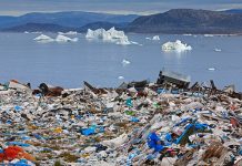 Всемирный день окружающей среды: акцент на борьбе с пластиковыми отходами