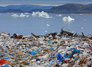 Всемирный день окружающей среды: акцент на борьбе с пластиковыми отходами