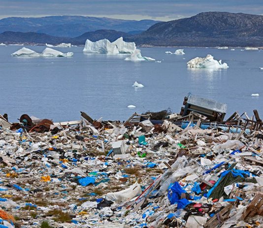 Токсичное окружение. Пластик скапливается на планете и отравляет все живое. Сможет ли мир решить эту проблему?