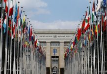 ООН планирует сократить бюджет на 2026 год на $500 млн