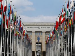 В ООН пройдут выборы нового генерального секретаря. Что нужно знать