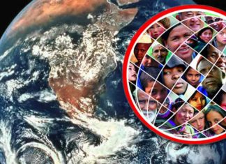 Эксперты оценил риски глобального голода