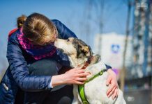 В Италии ужесточили наказание за насилие над животными