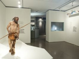 Загадку возраста “ледяного человека” Этци раскрыло новое исследование