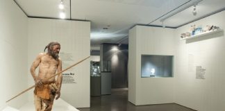 Загадку возраста “ледяного человека” Этци раскрыло новое исследование