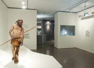 Загадку возраста “ледяного человека” Этци раскрыло новое исследование